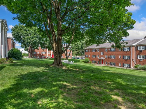 A tree in a grassy area in front of a red brick building.