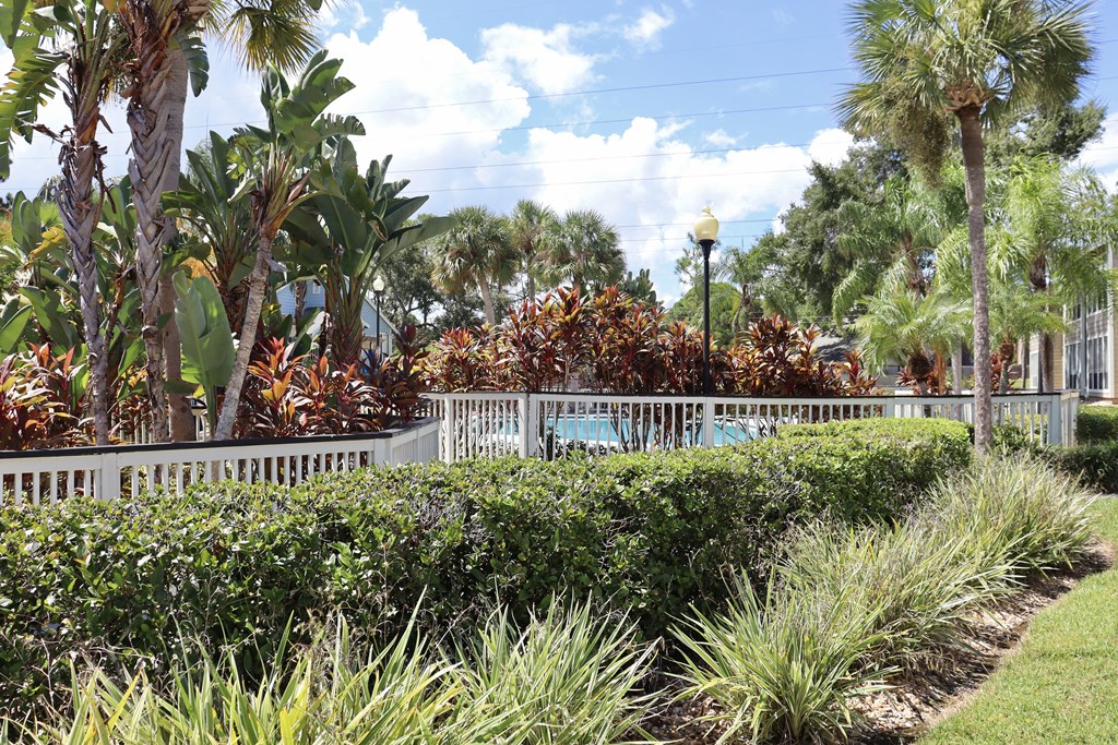A white fence separates a grassy area from a garden with a variety of plants.