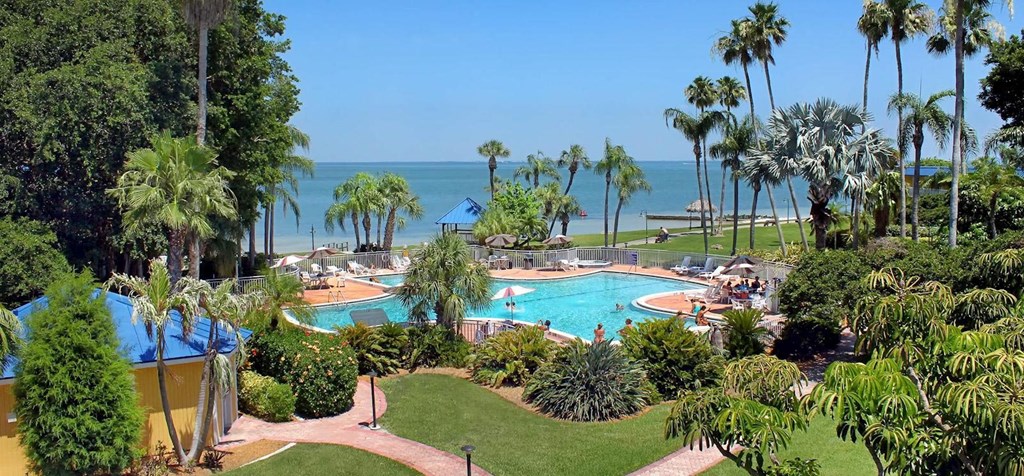 Pool, Beach, Ocean, Backyard, Amenities