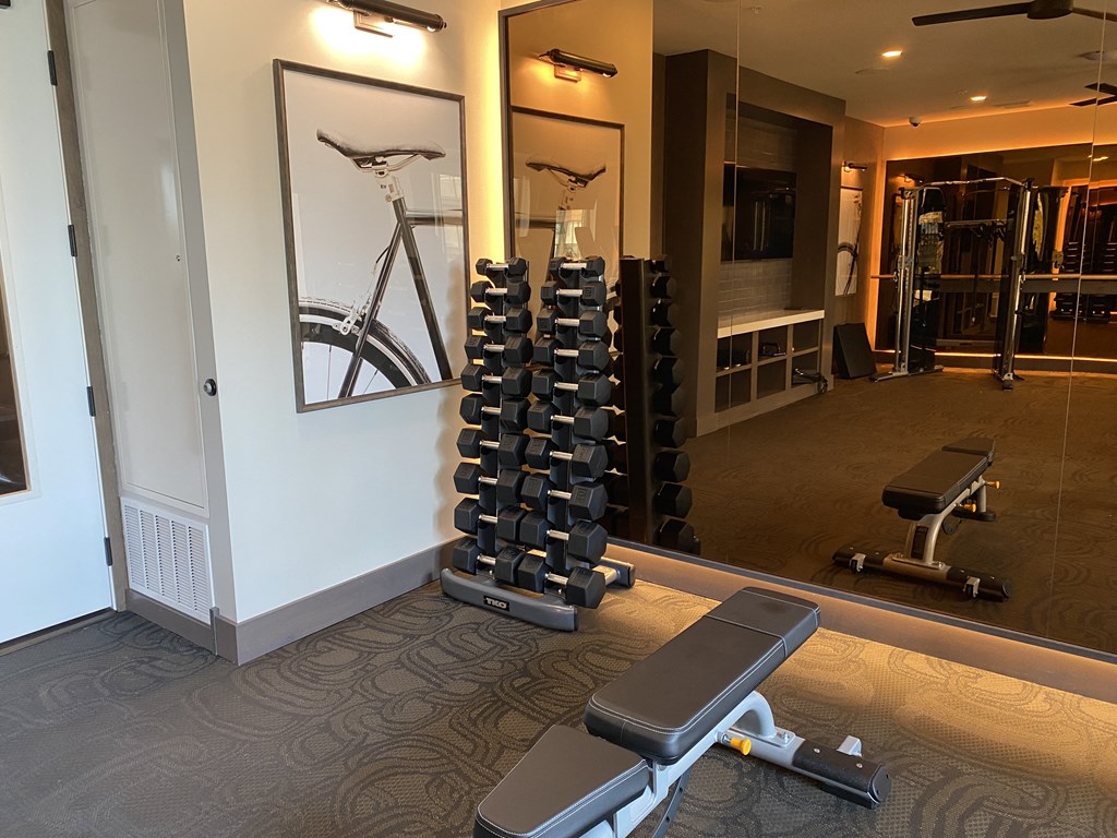a gym with a bike hanging on the wall and a treadmill in front of a large mirror