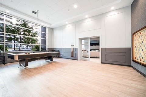 social room with pool table