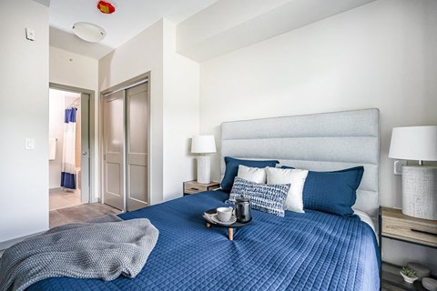 a bedroom with a bed and a closet