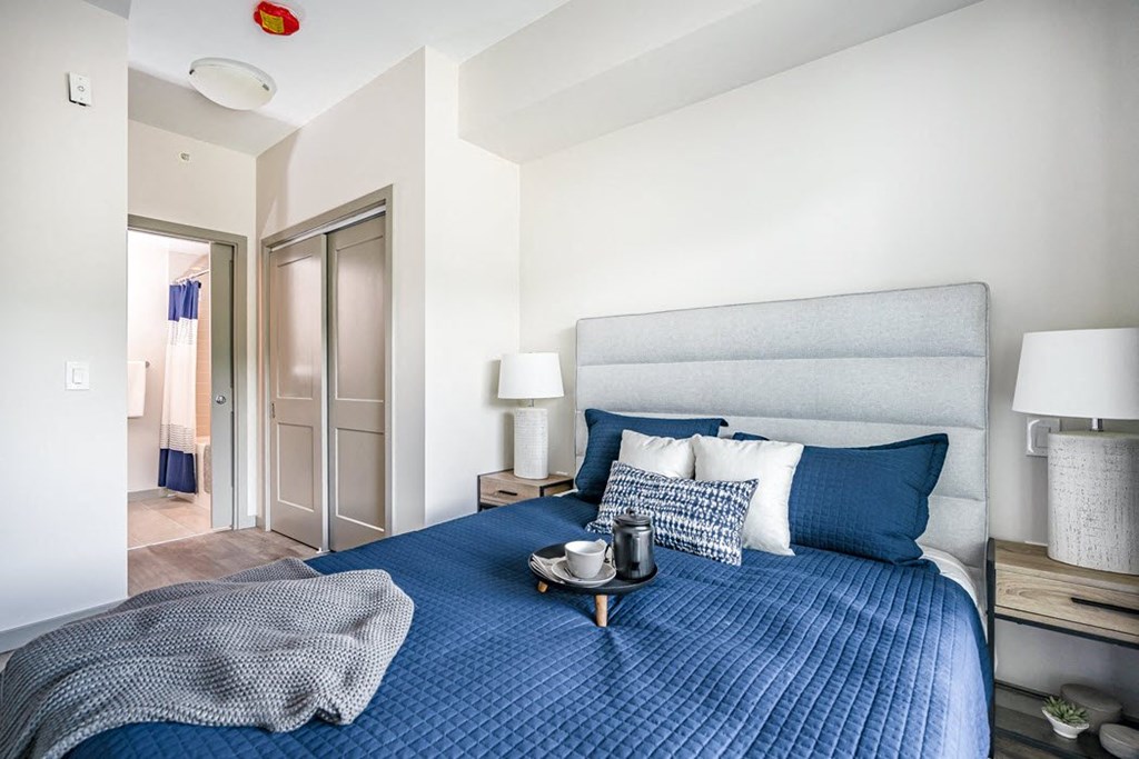 a bedroom with a bed and a closet