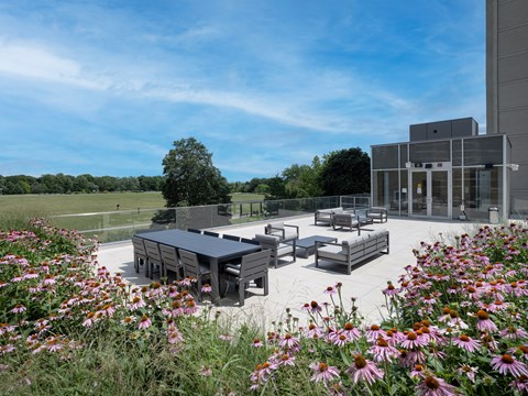 A modern building surrounded by a field of flowers.