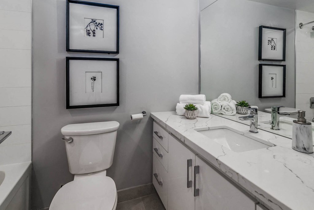 a bathroom with a toilet and a sink and a mirror