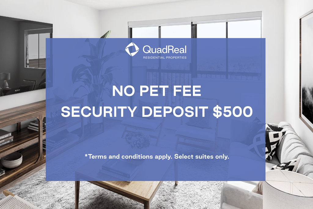 A room with a QuadReal sign and a no pet fee security deposit offer.