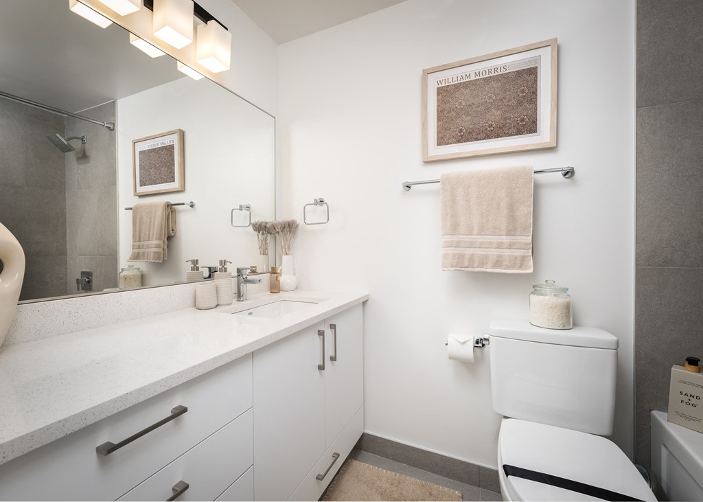 a bathroom with a sink and a toilet and a mirror