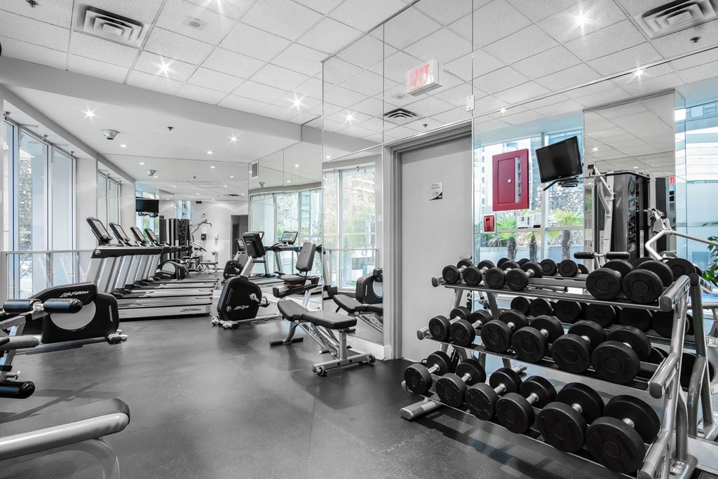 View of the gym, which has a wide array of equipment, all recently completely replaced.