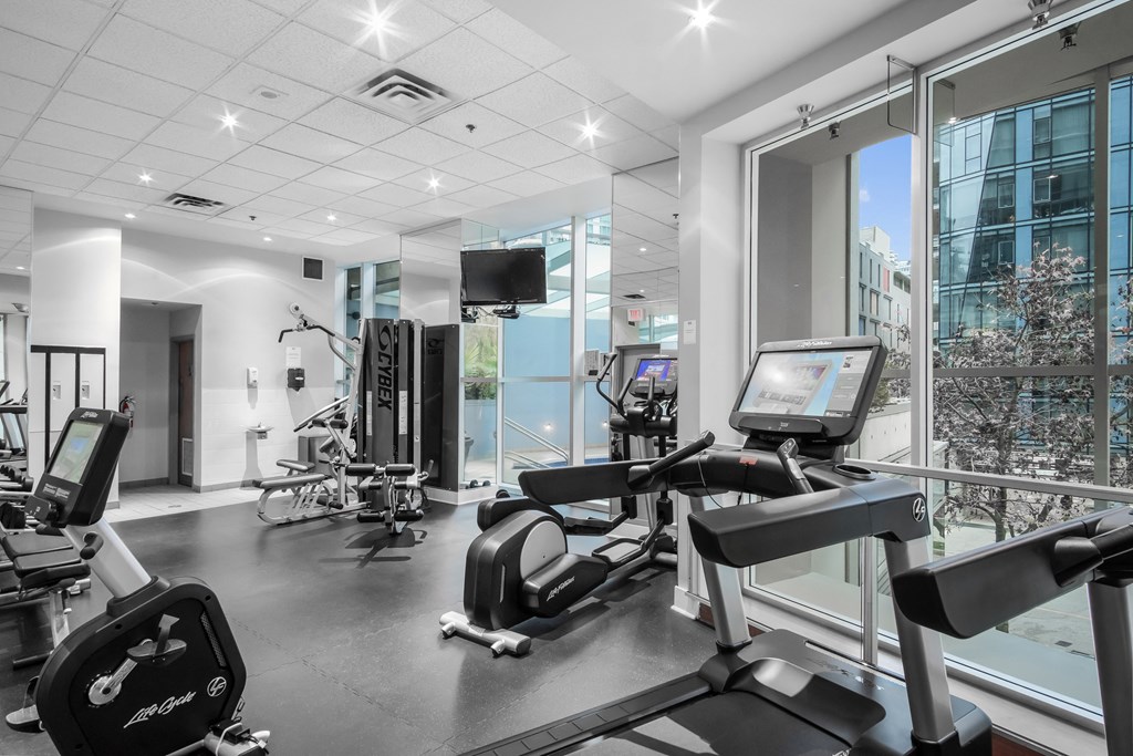 View of the gym, which has a wide array of equipment, all recently completely replaced.