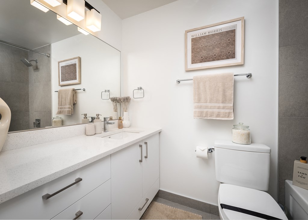 a bathroom with a sink and a toilet and a mirror