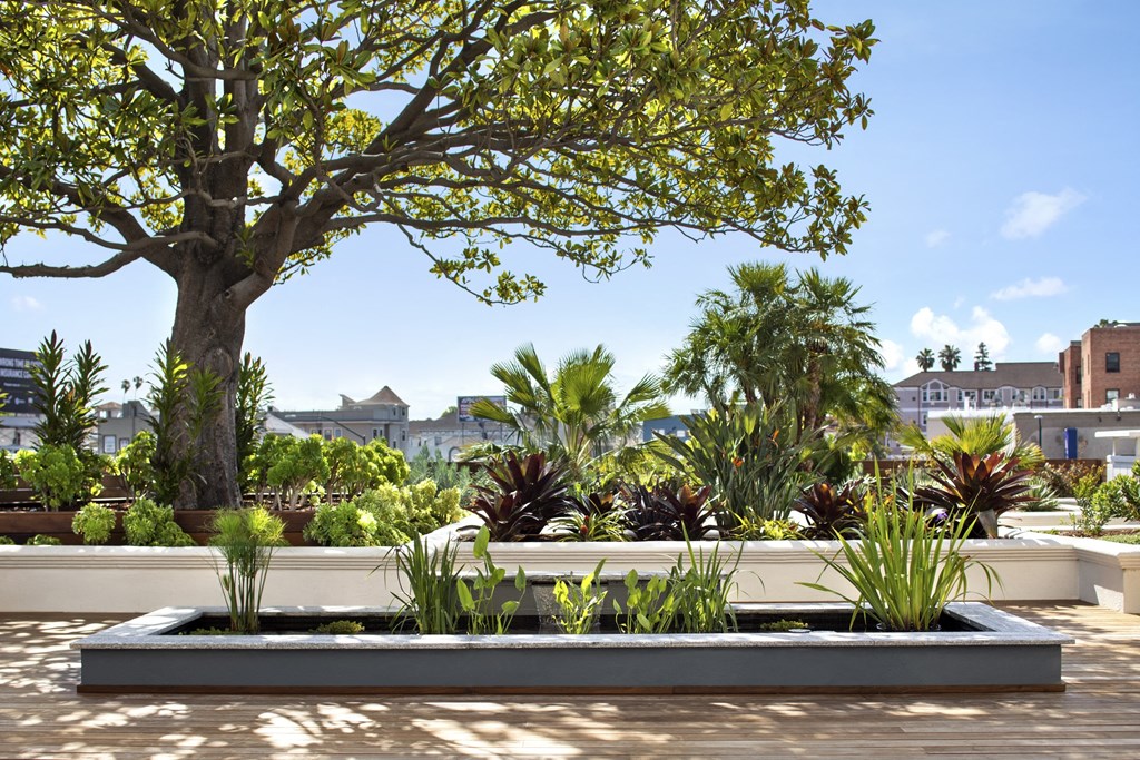 a large tree and plants in a garden on a roof