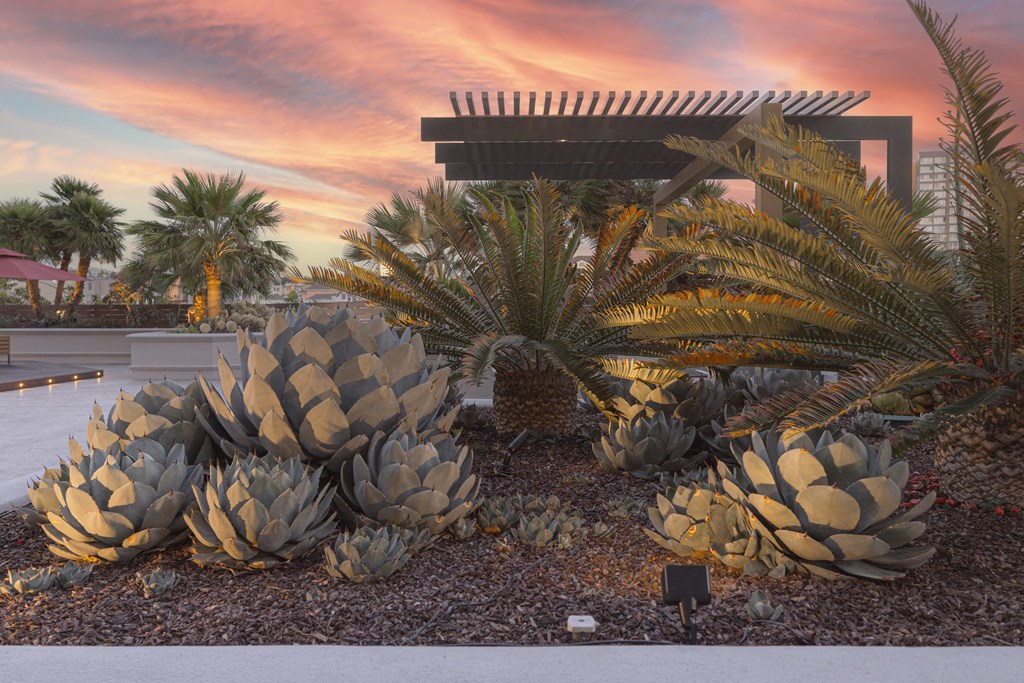 a group of succulents and palm trees in a garden