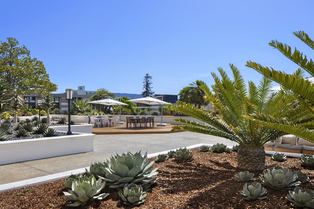 Patio  at 1200 Lakeshore, Oakland, CA