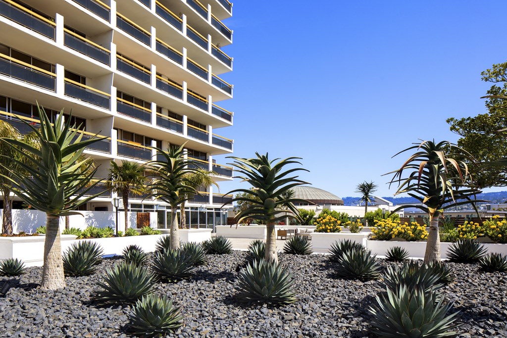 Patio planters  at 1200 Lakeshore, Oakland