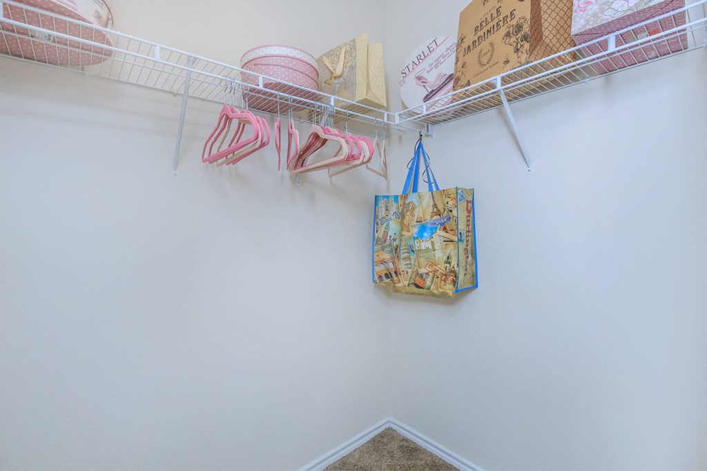 a closet with a rack and bags hanging on the wall