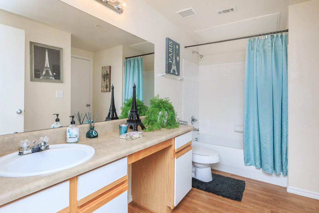 a bathroom with a sink and a toilet and a shower