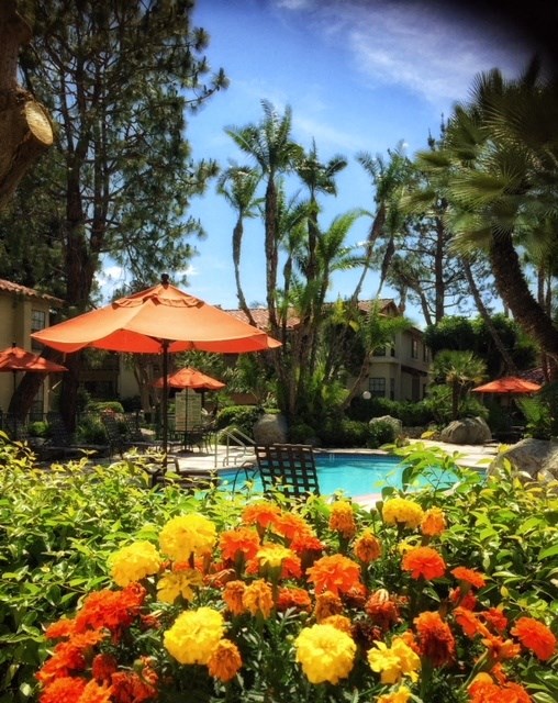 the pool is surrounded by flowers and umbrellas and palm trees at Victoria Springs, California