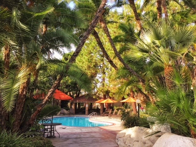 a resort pool with palm trees and umbrellas at Victoria Springs, Riverside