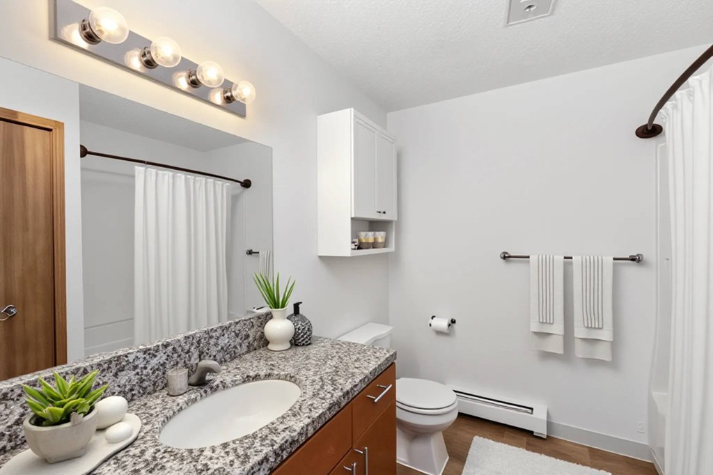 A bathroom with a white toilet, a sink, and a mirror.