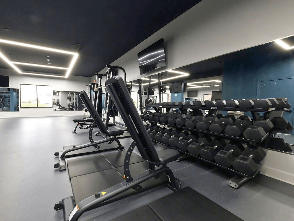 A gym with treadmills and weight benches.