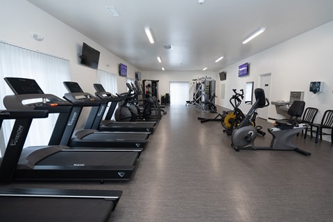 A gym with treadmills and exercise bikes.