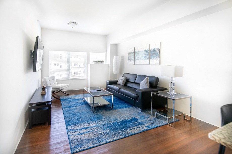 a living room with a blue rug and leather couch