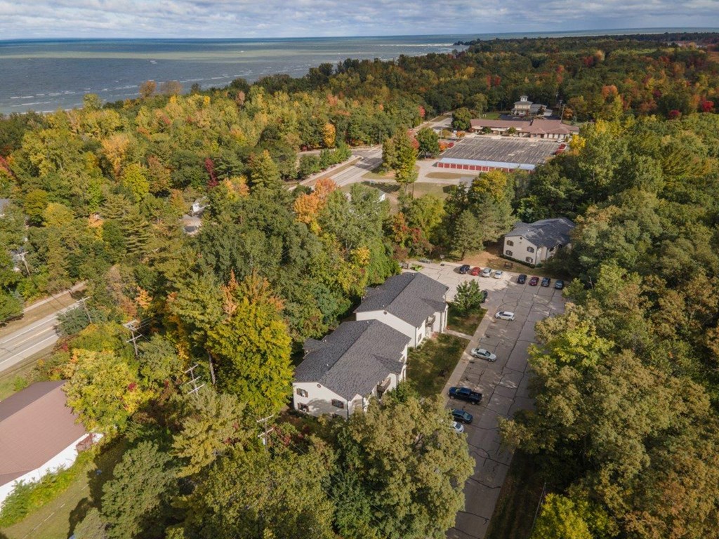 an aerial view of a neighborhood with houses and trees