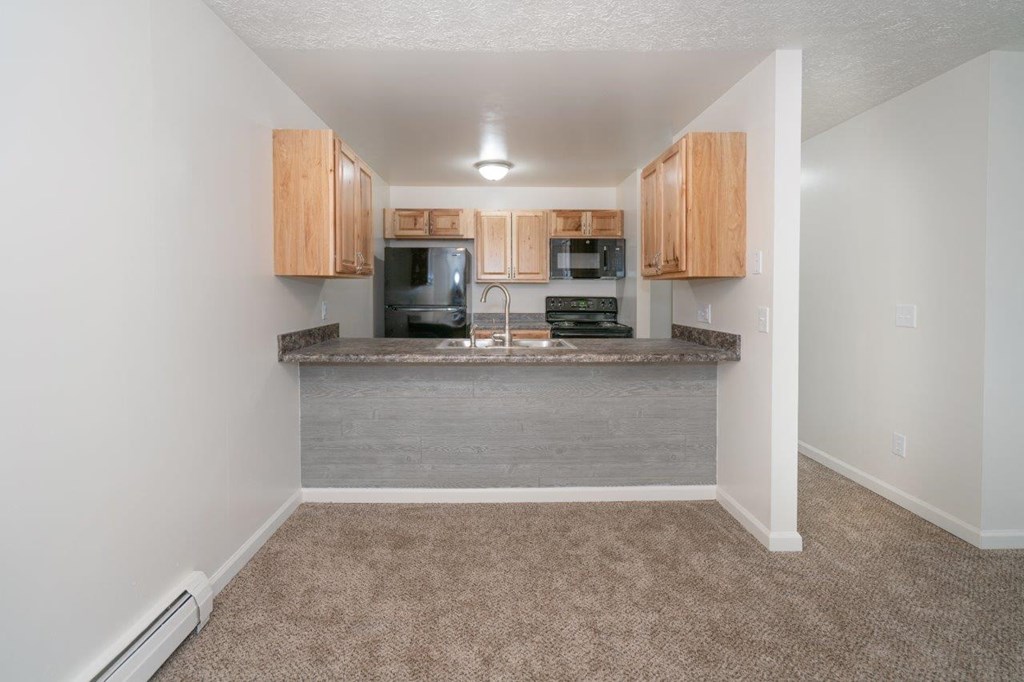 a kitchen with a counter and a microwave and cabinets