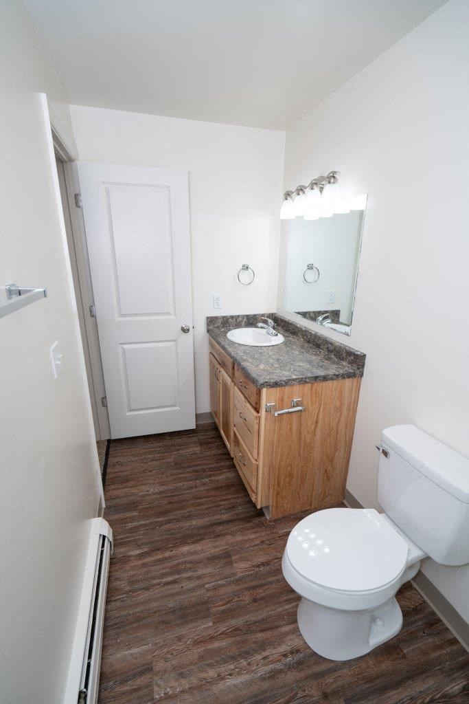 a bathroom with a toilet and a sink and a mirror