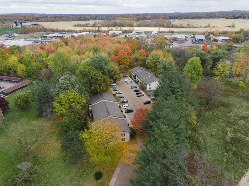 an aerial view of a neighborhood with houses and trees