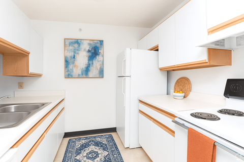 A kitchen with white cabinets and a blue rug on the floor.