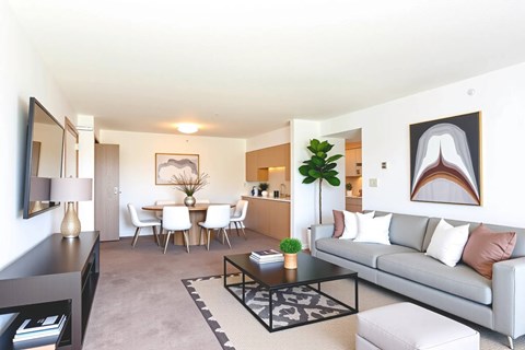 A living room with a grey couch, a coffee table, a dining table with chairs, and a potted plant.