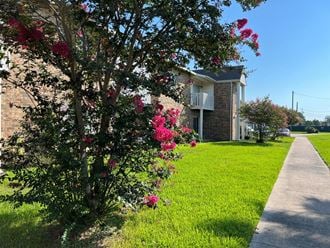 a sidewalk in front of a house with pink flowers