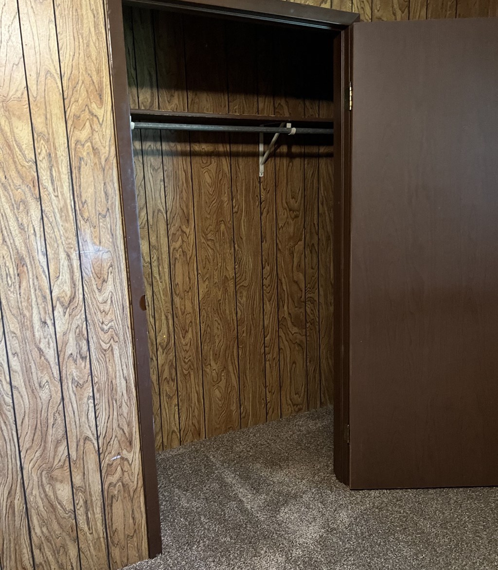 a closet with a wooden wall and a brown door
