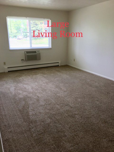 a large living room with a carpeted floor and a window
