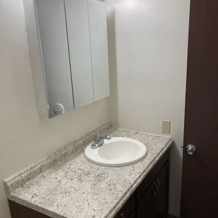 a bathroom with a sink and a mirror