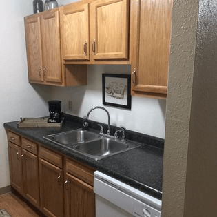 a kitchen with a sink and a dishwasher