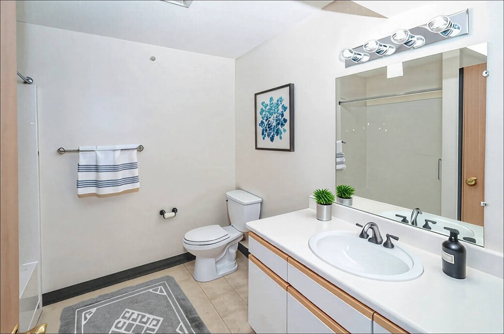 A bathroom with a toilet, sink, and mirror.