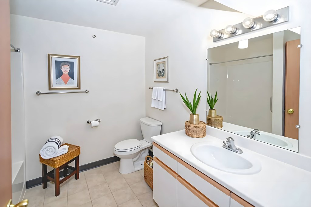 A bathroom with a white sink, toilet, and a mirror.