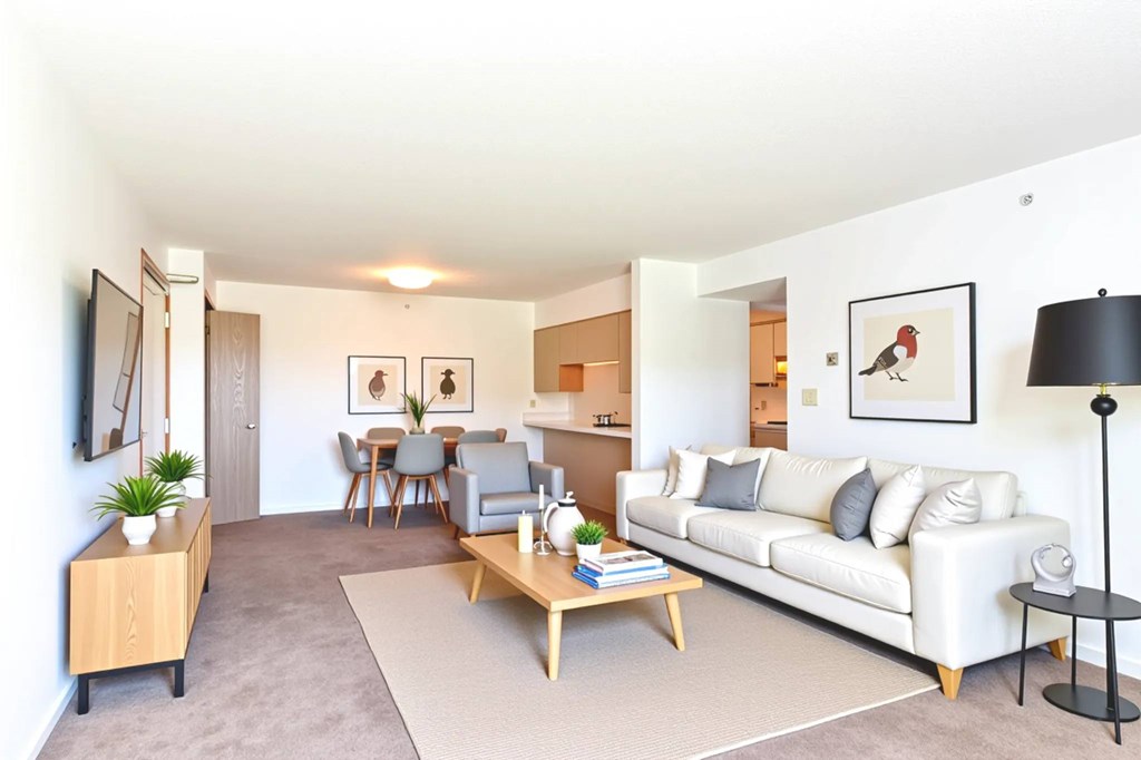 A living room with a white couch, wooden coffee table, and a rug.