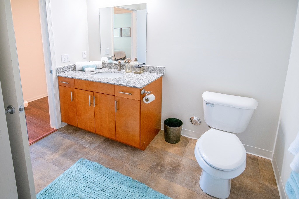 Vanity Lights at Miles Apartments, Fort Gratiot Twp, MI, 48059