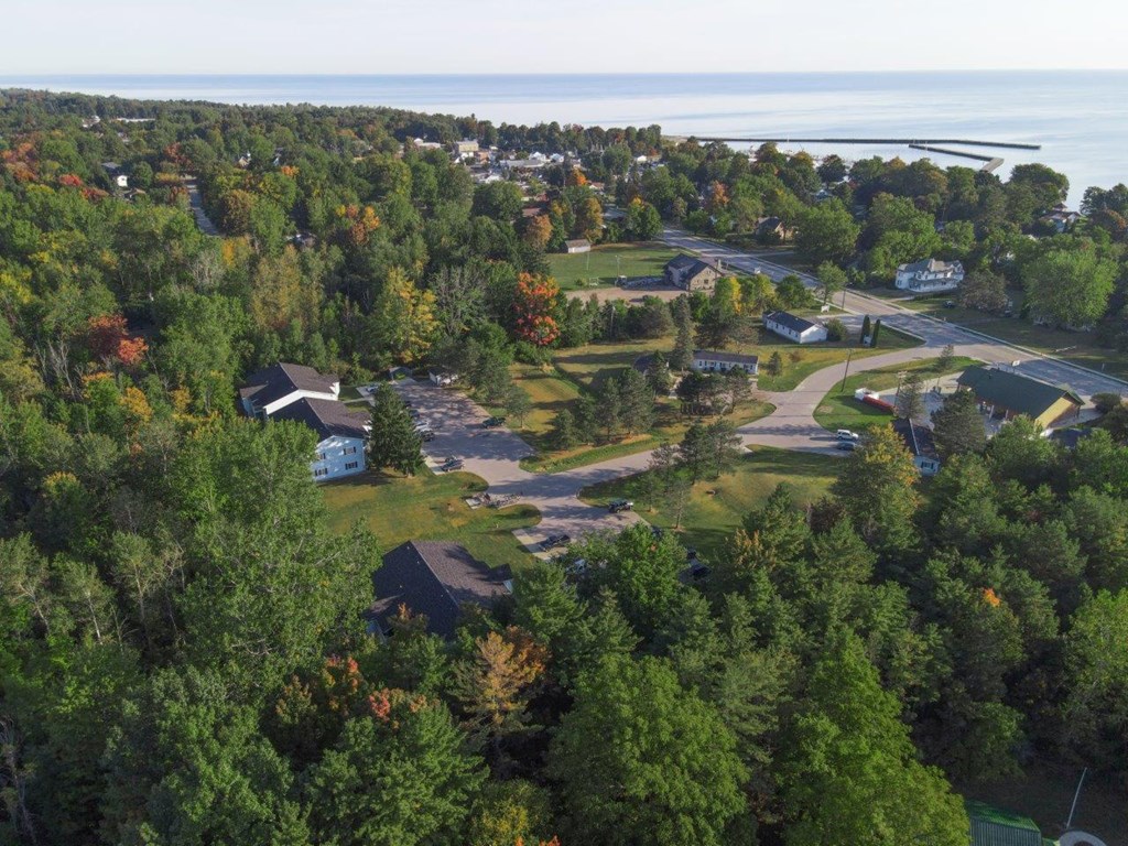 an aerial view of a neighborhood with trees and a body of water