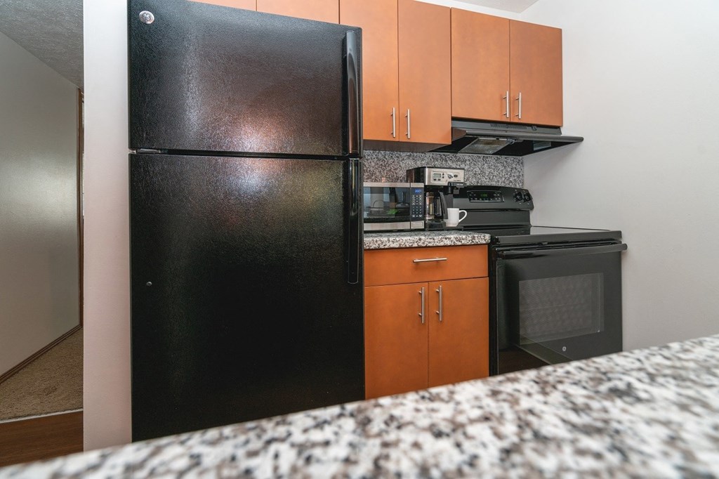Granite Counter Tops In Kitchen at Raleigh House Apartments, MRD Apartments, Michigan