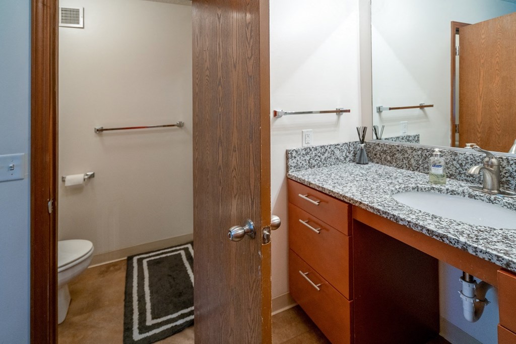 Upgraded Bathroom Fixtures at Raleigh House Apartments, MRD Apartments, East Lansing, MI