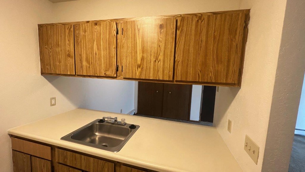 an empty kitchen with a sink and wooden cabinets
