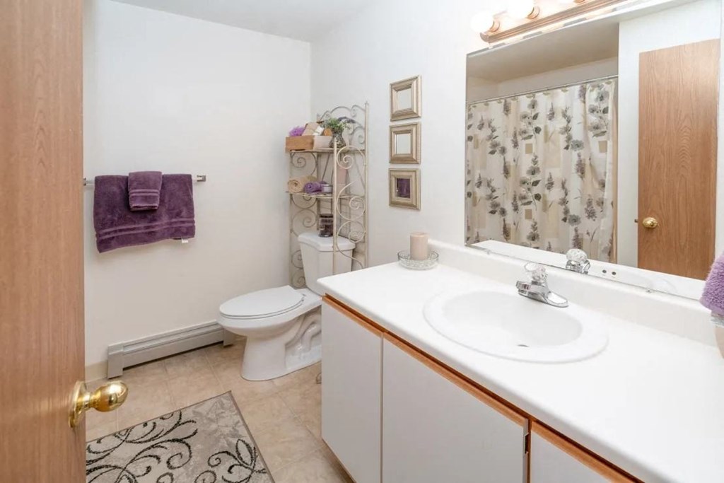 Bathroom at Griffin Estates Niles Michigan 49120