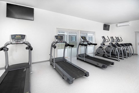Fitness Center With Modern Equipment at Dutton Estates, Saint Clair, 48079