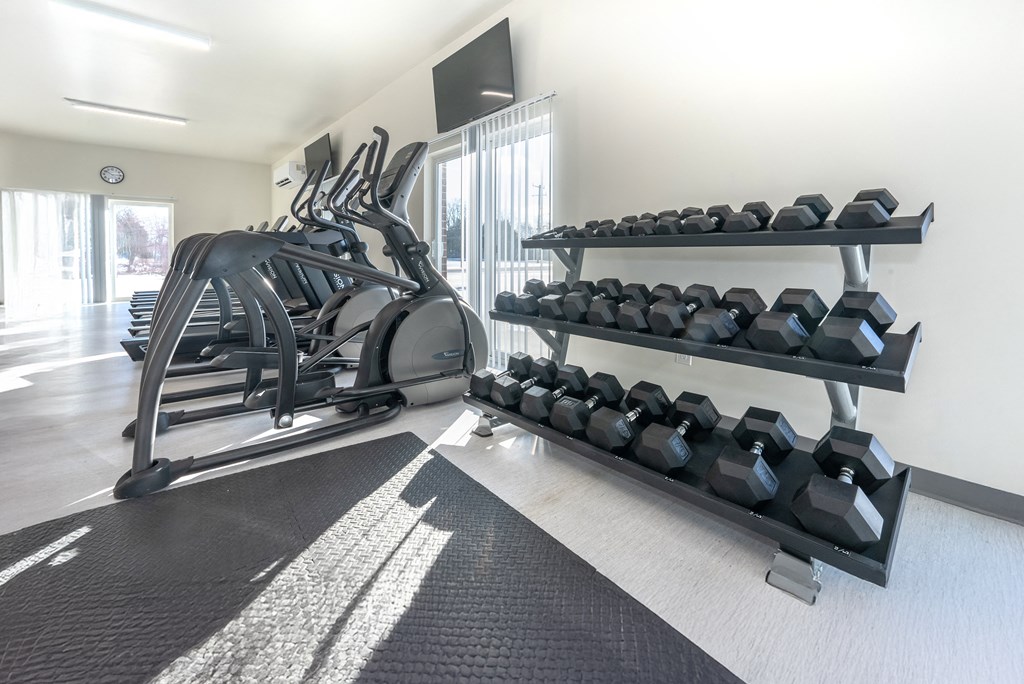 A gym with a row of dumbbells on a rack and a treadmill.