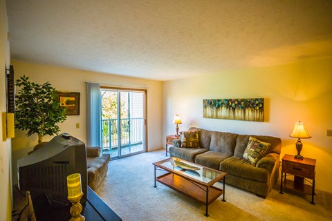Living Room Davis Estates Apartments in Shelbyville TN