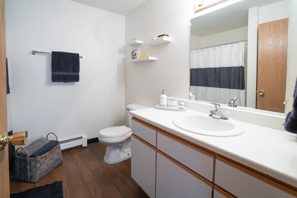 a bathroom with a sink and a toilet and a mirror